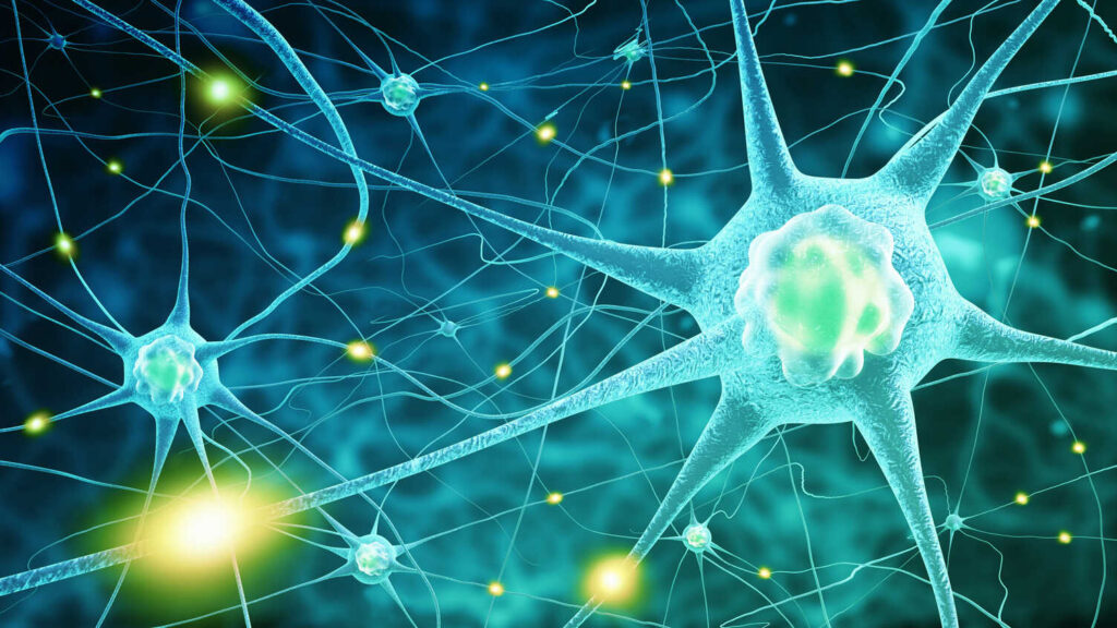 Illustration of interconnected neurons.
